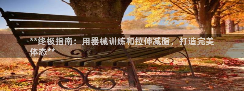 尊龙现金：**终极指南：用器械训练和拉伸减脂，打造完