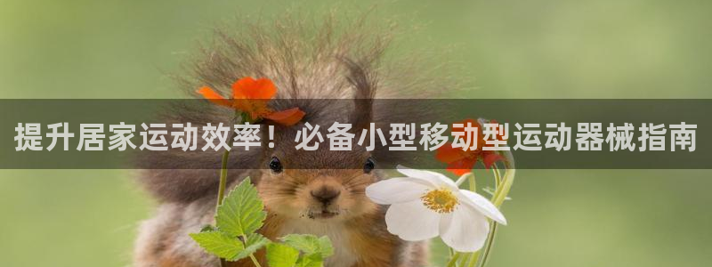 尊龙凯时有没有出不了款的情况：提升居家运动效率！必备