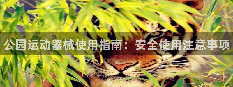 尊龙官网APP下载：公园运动器械使用指南：安全使用注