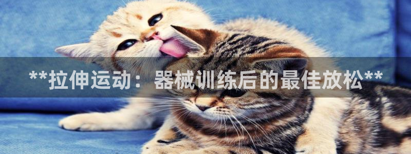 新版尊龙99：**拉伸运动：器械训练后的最佳放松**