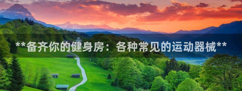 z6尊龙凯时旗：**备齐你的健身房：各种常见的运动器