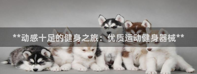 凯时首页登录：**动感十足的健身之旅：优质运动健身器