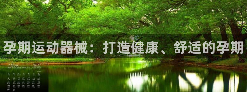 尊龙z6：孕期运动器械：打造健康、舒适的孕期