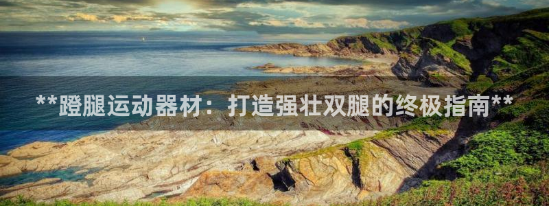 尊龙最经典的三个角色：**蹬腿运动器材：打造强壮双腿
