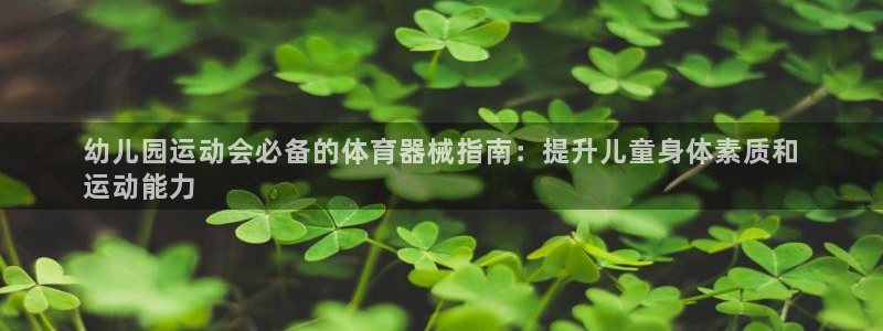 尊龙官方平台是正品吗：幼儿园运动会必备的体育器械指南