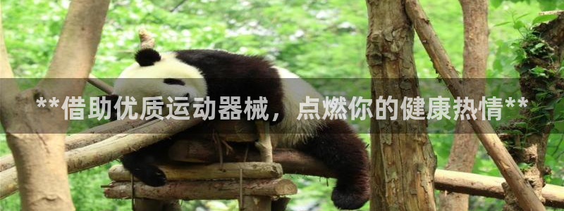 尊龙人生就是博登陆：**借助优质运动器械，点燃你的健