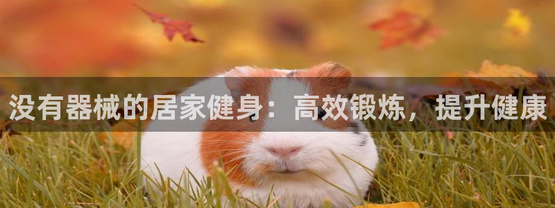 凯时ag旗舰厅登录：没有器械的居家健身：高效锻炼，提