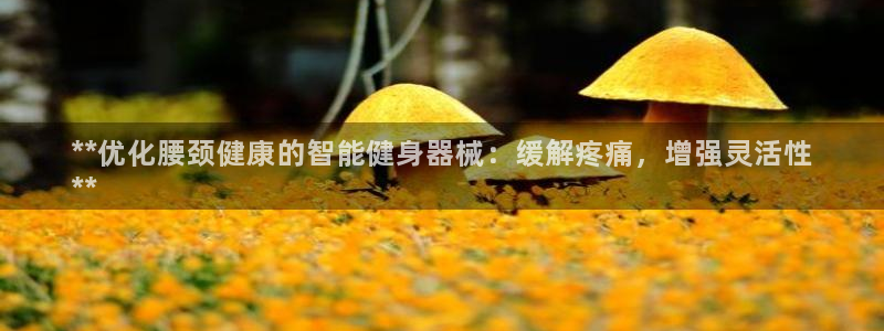 尊龙t400和尊龙t300区别：**优化腰颈健康的智