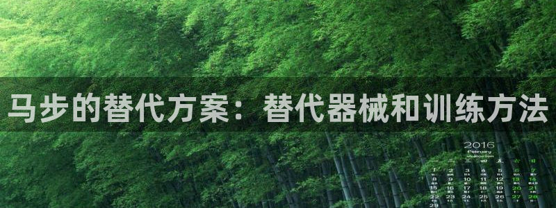 尊龙官方网站首页：马步的替代方案：替代器械和训练方法