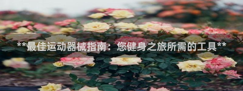 尊龙网站登录：**最佳运动器械指南：您健身之旅所需的