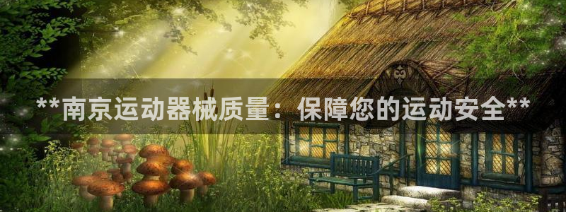 尊龙人生就是博首页：**南京运动器械质量：保障您的运
