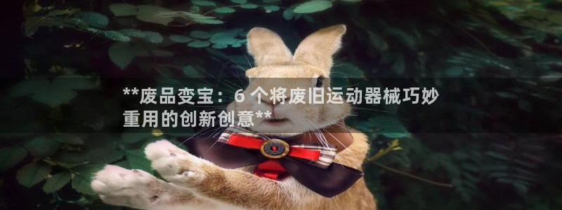 尊龙2016：**废品变宝：6 个将废旧运动器械巧妙