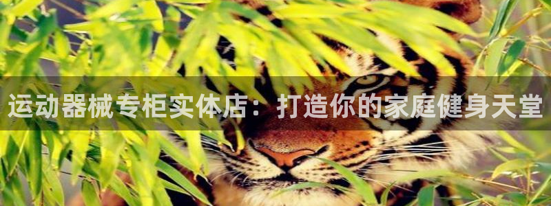 尊龙凯时官方网站下载：运动器械专柜实体店：打造你的家
