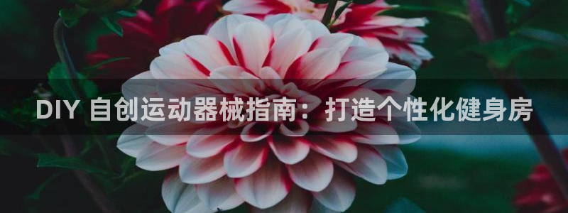 尊龙登录：DIY 自创运动器械指南：打造个性化健身房