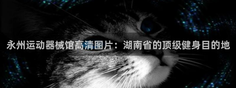 尊龙网站下分慢：永州运动器械馆高清图片：湖南省的顶级