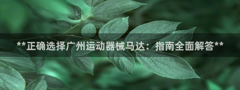 尊龙官网地址：**正确选择广州运动器械马达：指南全面