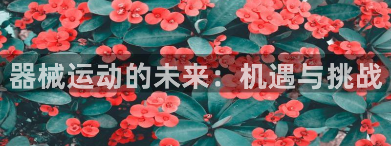 尊龙手机客户端下载：器械运动的未来：机遇与挑战