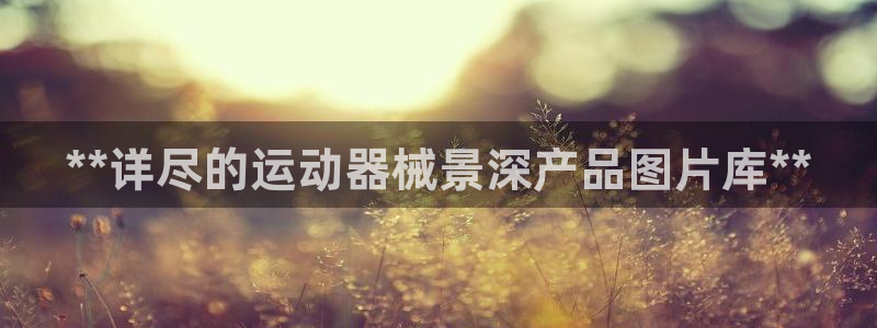 尊龙手机官方客户端下载：**详尽的运动器械景深产品图
