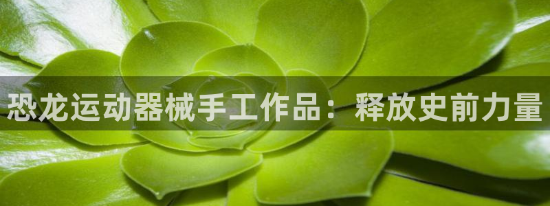 尊龙专访