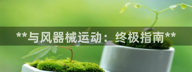 尊龙一人生就是博尊：**与风器械运动：终极指南**