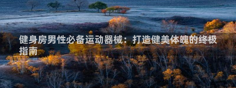 尊龙官方身高：健身房男性必备运动器械：打造健美体魄的