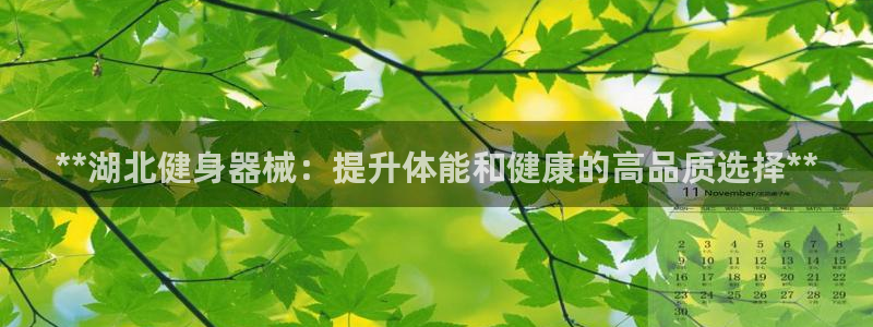 下载凯时AG旗舰厅首页