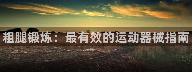 尊龙 贴吧：粗腿锻炼：最有效的运动器械指南
