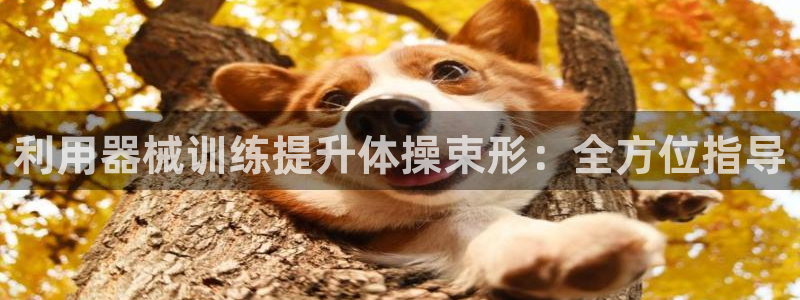 尊龙l1500：利用器械训练提升体操束形：全方位指导