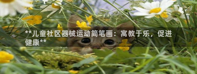 凯时a88：**儿童社区器械运动简笔画：寓教于乐，促