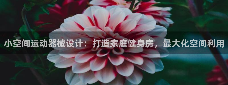 Z6尊龙凯时官方：小空间运动器械设计：打造家庭健身房