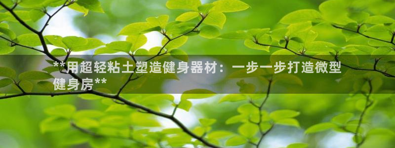凯时官网手机版首页