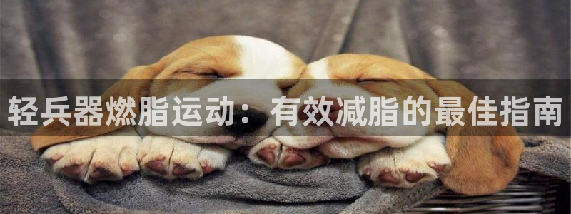 尊龙凯时凯发官网：轻兵器燃脂运动：有效减脂的最佳指南