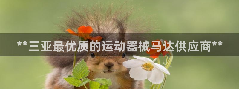 尊龙凯时 人生就是搏 平台：**三亚最优质的运动器械