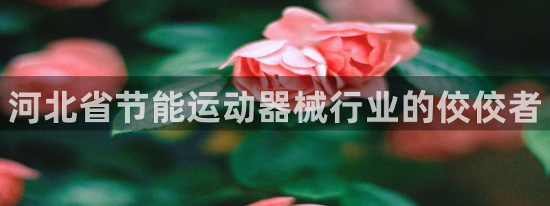 尊龙凯时旗舰厅百家乐下载：河北省节能运动器械行业的佼