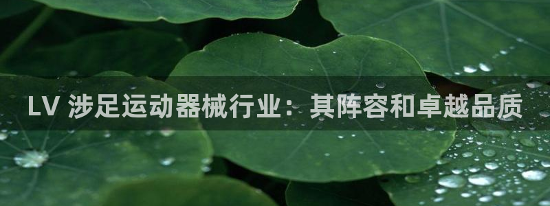 尊龙实业：LV 涉足运动器械行业：其阵容和卓越品质