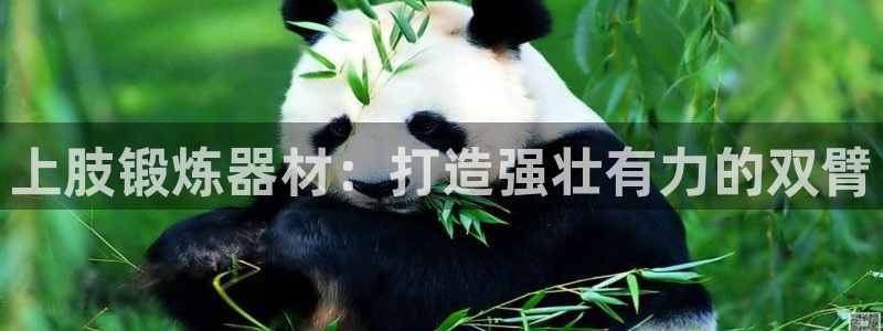 凯时k66会员登录