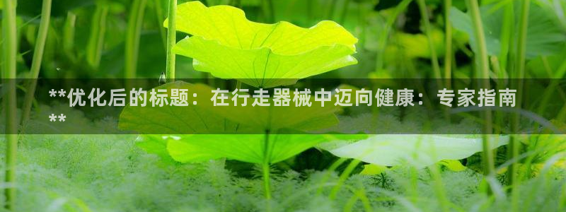 尊龙凯时 人生就是搏首页：**优化后的标题：在行走器