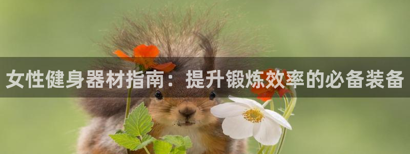尊龙人生就是博用现金玩一下：女性健身器材指南：提升锻