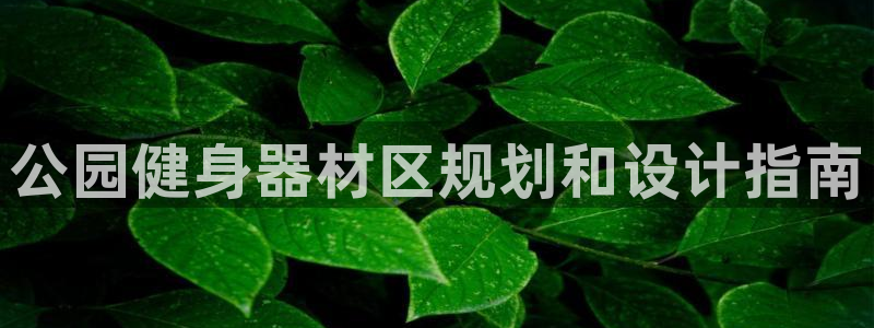尊龙凯时网：公园健身器材区规划和设计指南