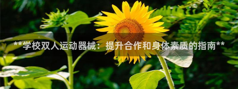 尊龙饰演过的经典角色：**学校双人运动器械：提升合作