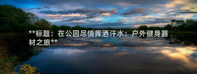 尊龙人生就是博下载：**标题：在公园尽情挥洒汗水：户