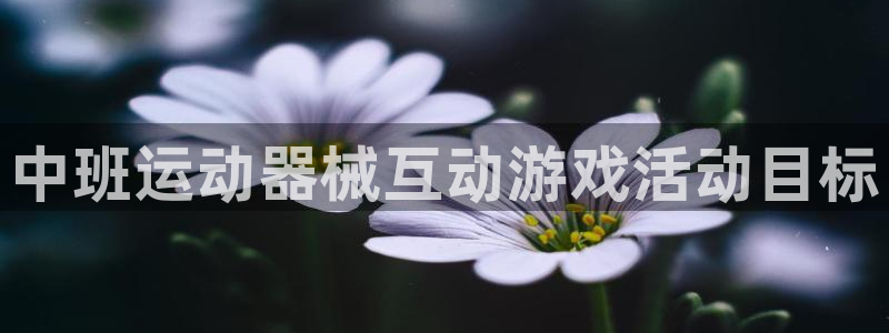 尊龙人生就是博AG：中班运动器械互动游戏活动目标