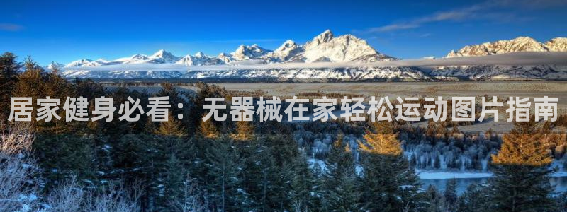 尊龙凯时干什么的：居家健身必看：无器械在家轻松运动图