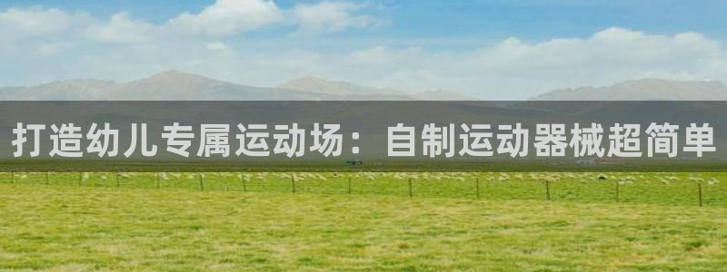 z6尊龙平台是哪里的：打造幼儿专属运动场：自制运动器