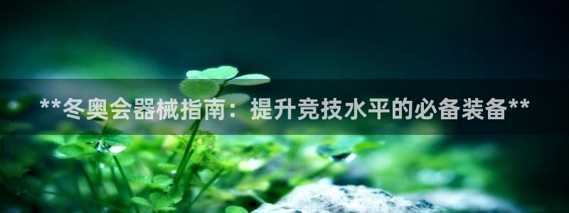 尊龙官网国际：**冬奥会器械指南：提升竞技水平的必备