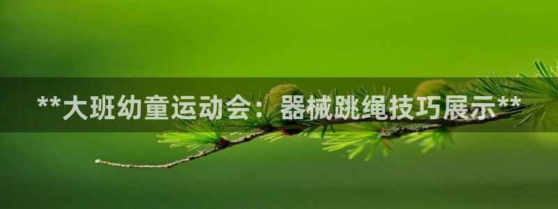 尊龙新版手机app下载：**大班幼童运动会：器械跳绳