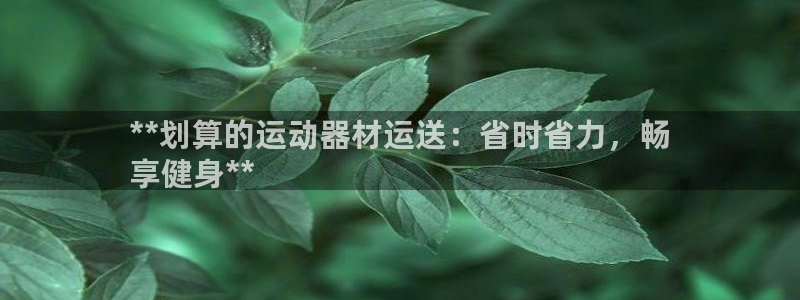 尊龙网站 人生就是博：**划算的运动器材运送：省时省