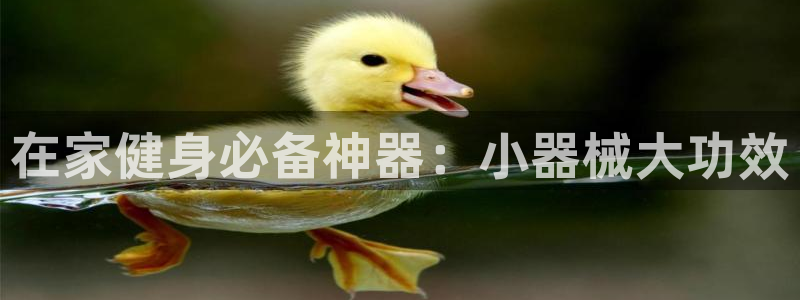 尊龙z6网址：在家健身必备神器：小器械大功效