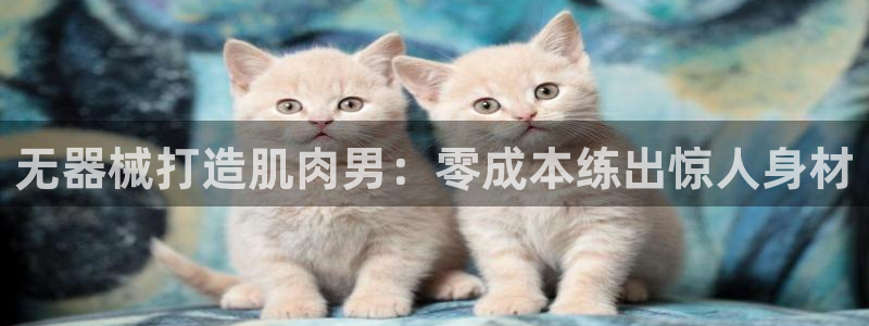 尊龙人生就是搏：无器械打造肌肉男：零成本练出惊人身材