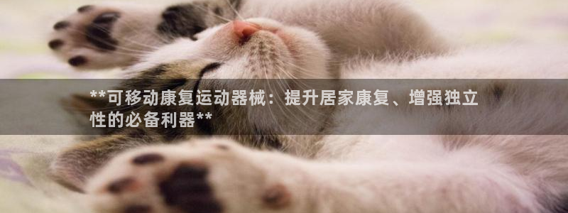 尊龙ag旗舰厅官网·(中国)官方入口：**可移动康复